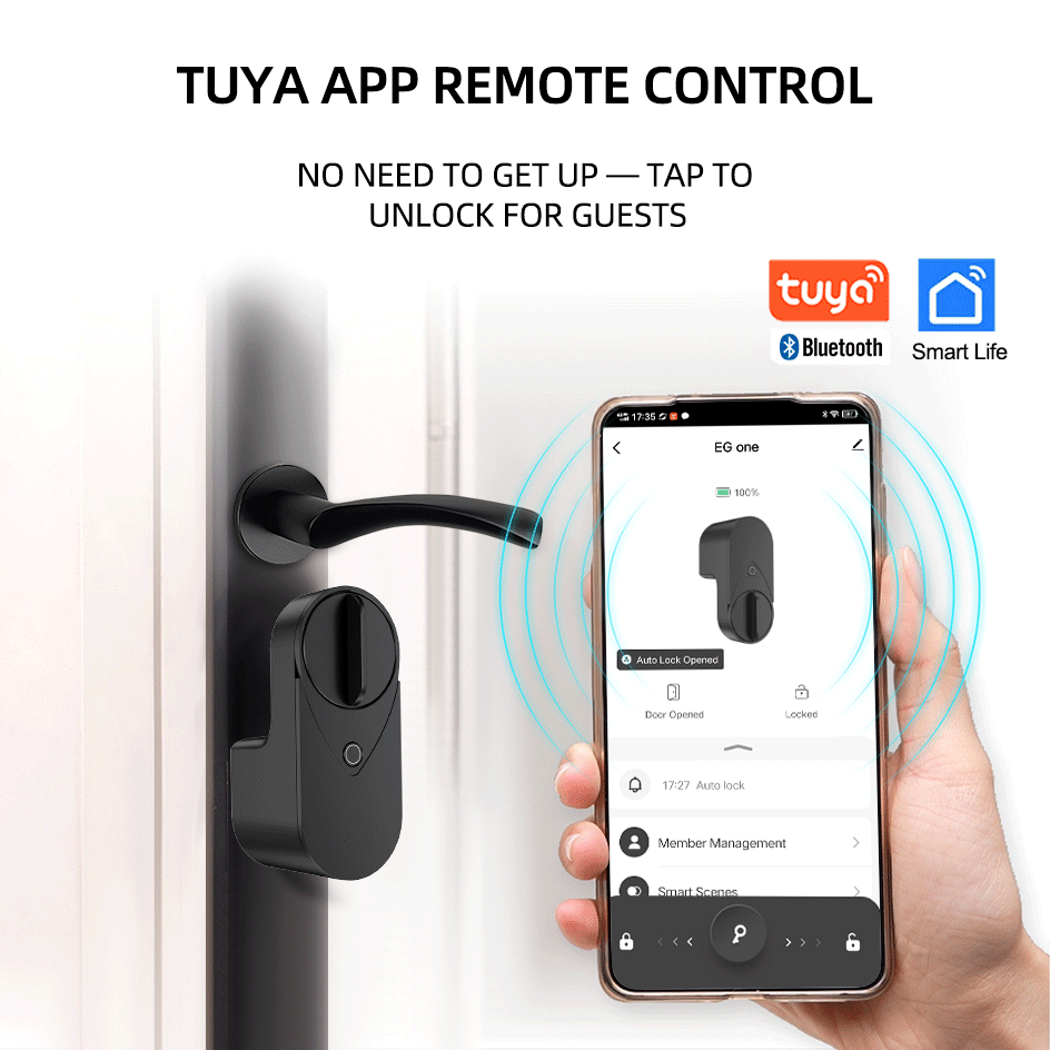 RAYKUBE EG One Tuya BLE スマートロッ - Power Tools Aeg のレビューと価格